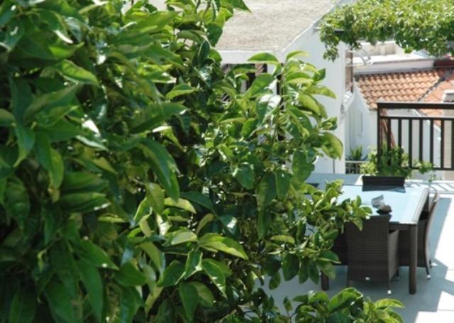 Babo Apartments Χβαρ Δωμάτιο φωτογραφία